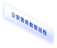 公安警务